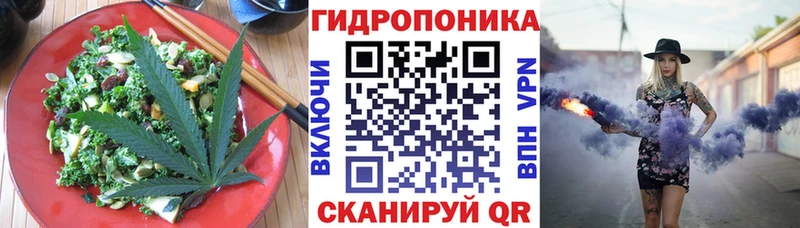 Cannafood конопля  магазин продажи   Кольчугино 