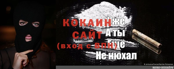 бошки Алексин