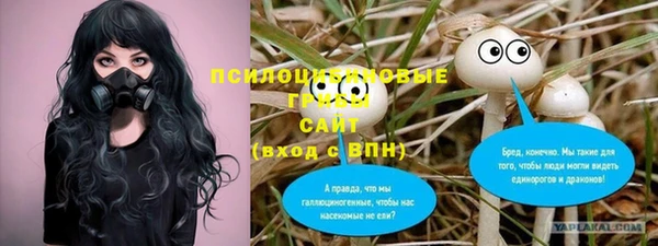 альфа пвп Алексеевка